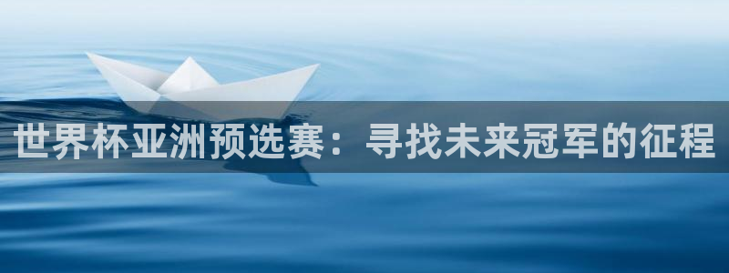 足球杯：世界杯亚洲预选赛：寻找未来冠军的征程