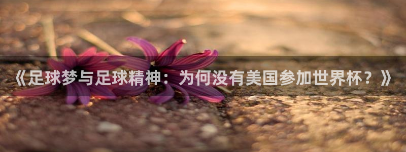 2026世界杯小组赛赛程时间表:《足球梦与足球精神:为何没有美国参加世界杯?》