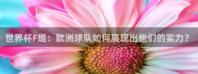 世界杯球队：世界杯F组：欧洲球队如何展现出他们的实力？