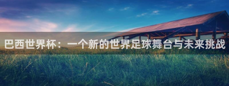 世界杯在线直播入口：巴西世界杯：一个新的世界足球舞台与未来挑战
