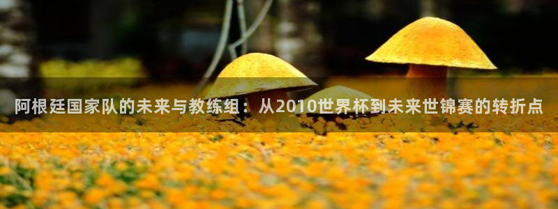世界杯亚洲区预选赛赛程表：阿根廷国家队的未来与教练组：从2010世界杯到未来世锦赛的转折点