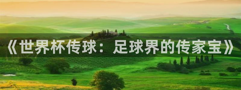 2026世预赛全部赛程：《世界杯传球：足球界的传家宝》