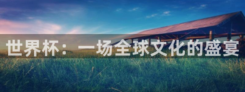世界杯足球赛2026：世界杯：一场全球文化的盛宴