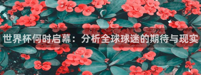 世预赛免费直播入口：世界杯何时启幕：分析全球球迷的期待与现实