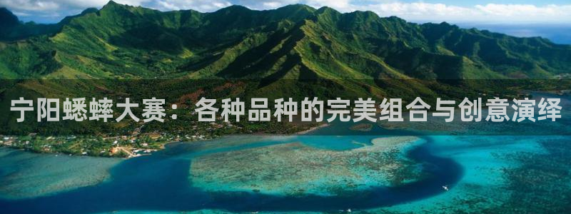 2006世界杯：宁阳蟋蟀大赛：各种品种的完美组合与创意演绎
