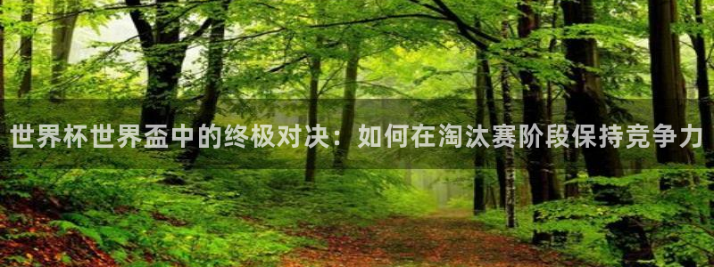 世界杯直播网站：世界杯世界盃中的终极对决：如何在淘汰赛阶段保持竞争力