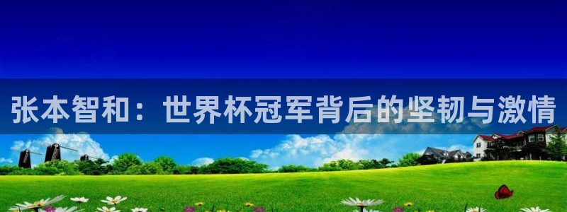世界杯预选赛规则：张本智和：世界杯冠军背后的坚韧与激情