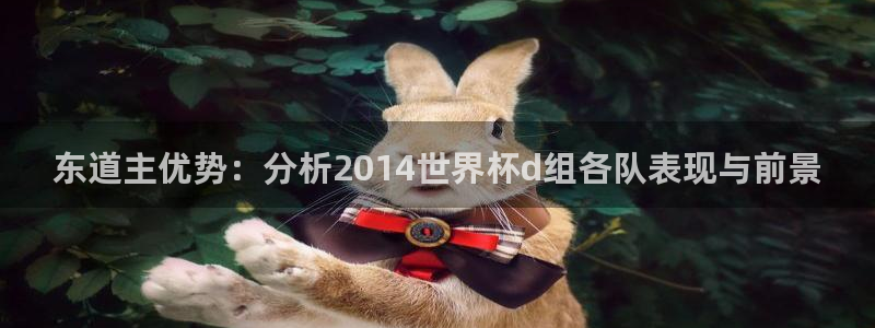 欧洲区世界杯预选赛：东道主优势：分析2014世界杯d组各队表现与前景