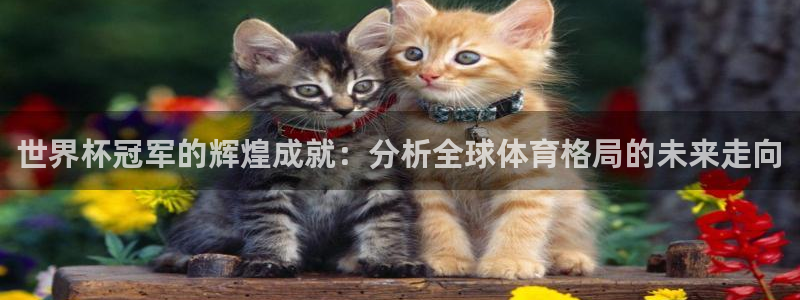 世俱杯直播：世界杯冠军的辉煌成就：分析全球体育格局的未来走向