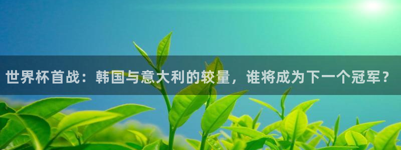 世界杯官网入口：世界杯首战：韩国与意大利的较量，谁将成为下一个冠军？