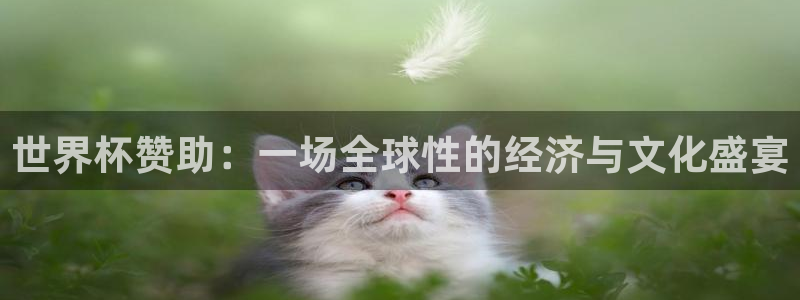 男足世界杯预选赛赛程：世界杯赞助：一场全球性的经济与文化盛宴